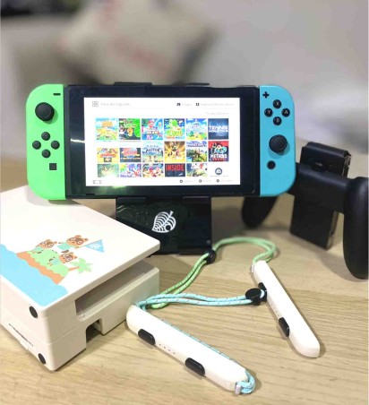 Nintendo switch animal crossing